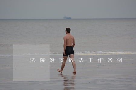 法院落实政法工作条例 法院落实政法工作条例