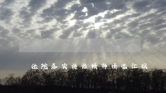 法院落实讲话精神情况汇报 法院落实讲话精神情况汇报
