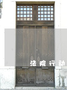 法院行动老赖