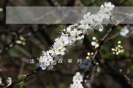 法院行政审判 法院行政审判