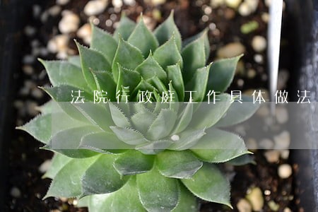 法院行政庭工作具体做法 法院行政庭工作具体做法