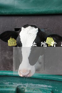 法院行政庭有执行权吗 法院行政庭有执行权吗