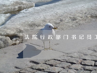 法院行政部门书记员工作内容
