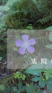 法院行装科工作亮点 法院行装科工作亮点