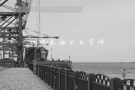 法院表格文书字体 法院表格文书字体