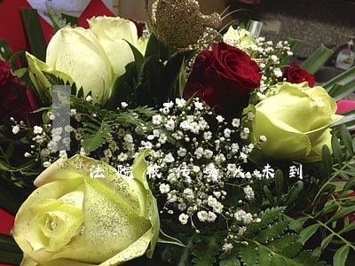 法院被传唤人未到 法院被传唤人未到