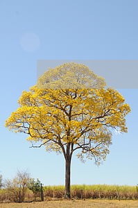 法院被告提供篡改的证据 法院被告提供篡改的证据