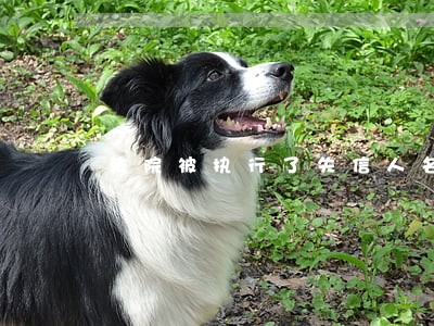 法院被执行了失信人名单 法院被执行了失信人名单