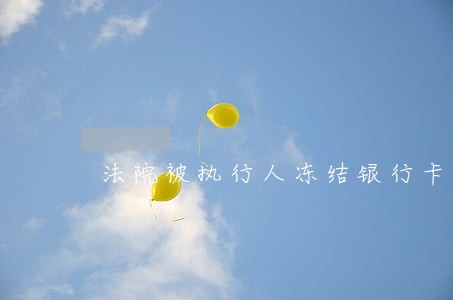 法院被执行人冻结银行卡 法院被执行人冻结银行卡
