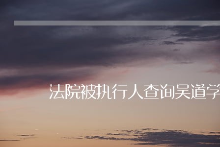 法院被执行人查询吴道学 法院被执行人查询吴道学