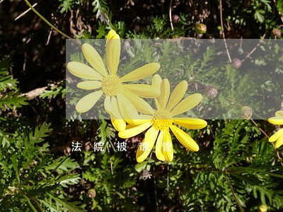 法院被谁管 法院被谁管