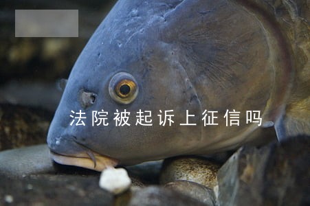 法院被起诉上征信吗 法院被起诉上征信吗
