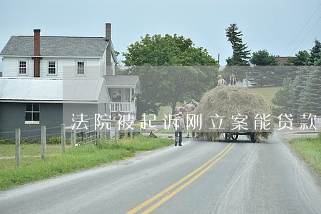 法院被起诉刚立案能贷款吗