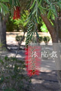 法院裁判下来以后还好起审吗 法院裁判下来以后还好起审吗