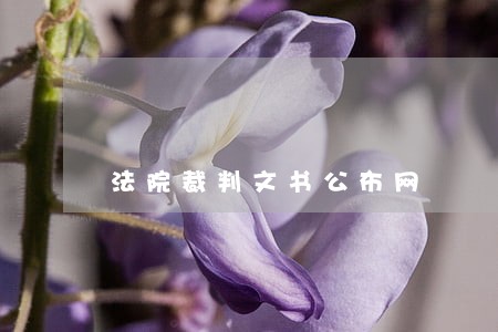 法院裁判文书公布网 法院裁判文书公布网