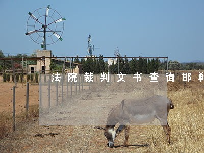 法院裁判文书查询邯郸市中院