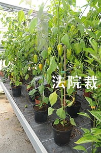 法院裁判文书网不上网 法院裁判文书网不上网