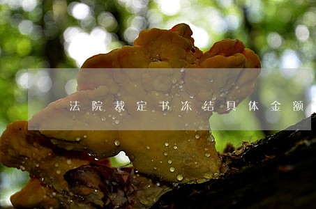 法院裁定书冻结具体金额来源 法院裁定书冻结具体金额来源