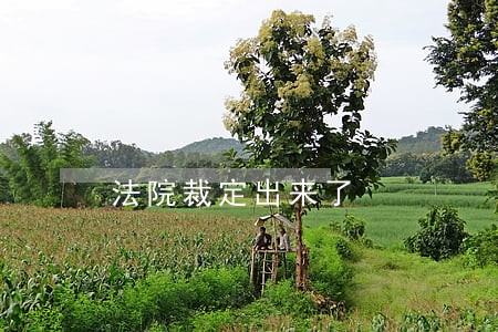 法院裁定出来了 法院裁定出来了