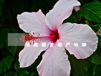 法院裁定房产协助