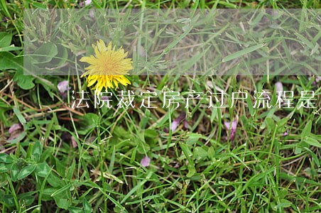 法院裁定房产过户流程是怎样的 法院裁定房产过户流程是怎样的