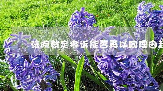 法院裁定撤诉能否再以同理由起诉