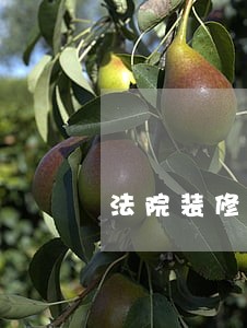 法院装修费用评估需要公示吗 法院装修费用评估需要公示吗