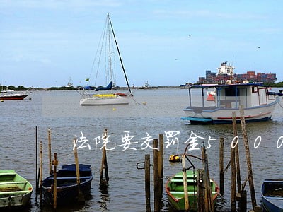 法院要交罚金5000元 法院要交罚金5000元