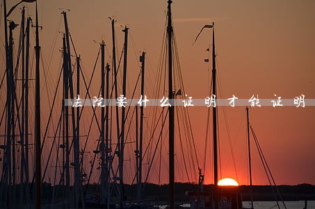 法院要什么证明才能证明孕妇 法院要什么证明才能证明孕妇