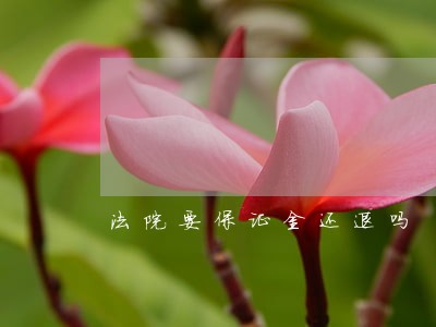 法院要保证金还退吗 法院要保证金还退吗