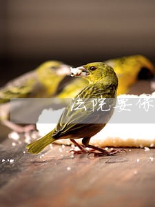 法院要保险单干什么 法院要保险单干什么