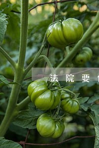 法院要借5万的证据 法院要借5万的证据