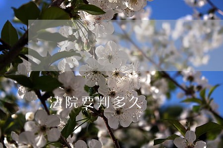 法院要判多久 法院要判多久