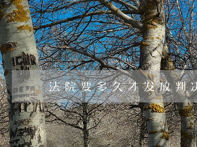 法院要多久才发放判决书 法院要多久才发放判决书