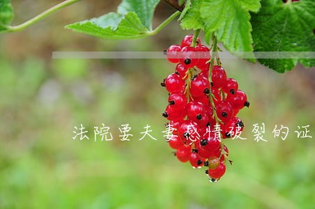 法院要夫妻感情破裂的证据有哪些 法院要夫妻感情破裂的证据有哪些