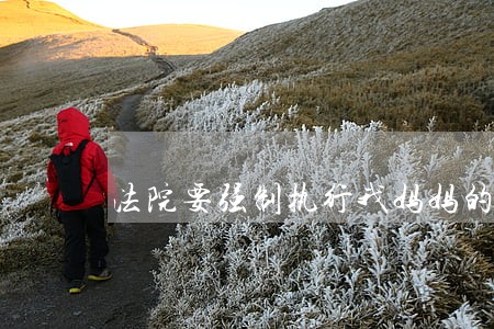 法院要强制执行我妈妈的房子 法院要强制执行我妈妈的房子
