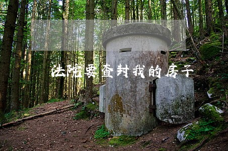 法院要查封我的房子 法院要查封我的房子