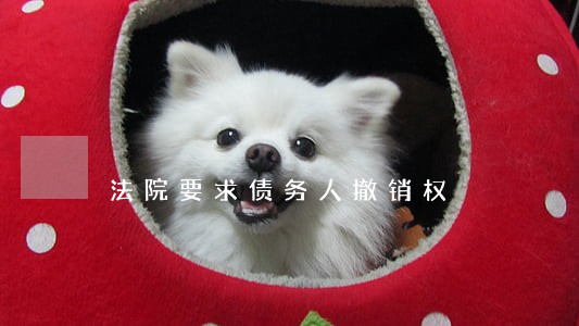 法院要求债务人撤销权 法院要求债务人撤销权
