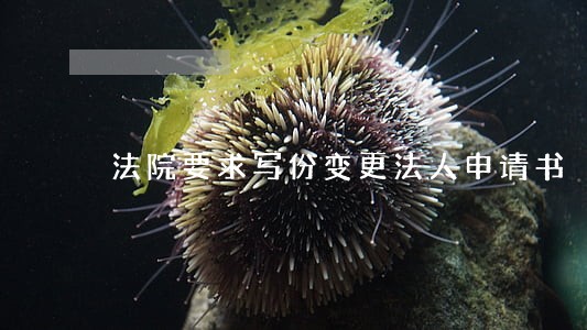 法院要求写份变更法人申请书