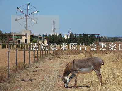 法院要求原告变更案由 法院要求原告变更案由