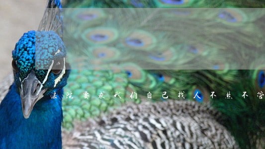 法院要求我们自己找人不然不管 法院要求我们自己找人不然不管