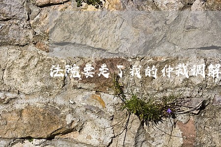 法院要走了我的仲裁调解书原件 法院要走了我的仲裁调解书原件