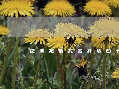 法院观看改革开放四十周 法院观看改革开放四十周