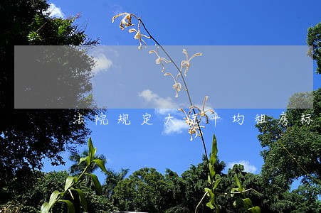 法院规定大连平均租房标准 法院规定大连平均租房标准