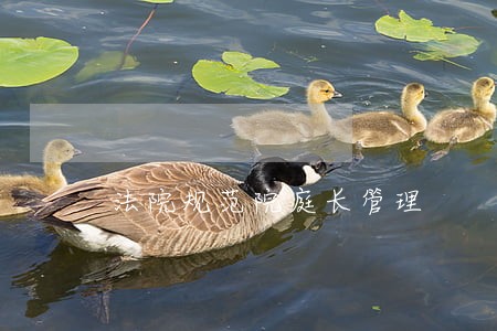 法院规范院庭长管理 法院规范院庭长管理