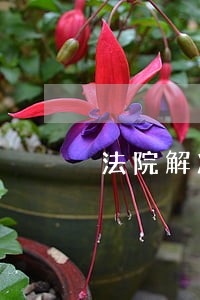 法院解决干部职级待遇的报告 法院解决干部职级待遇的报告