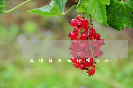 法院解决执行难活动