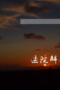 法院解决方案一 法院解决方案一