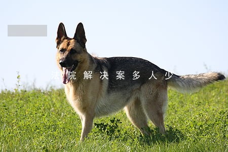 法院解决案多人少 法院解决案多人少