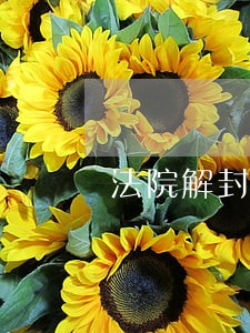 法院解封以后的二手房过户